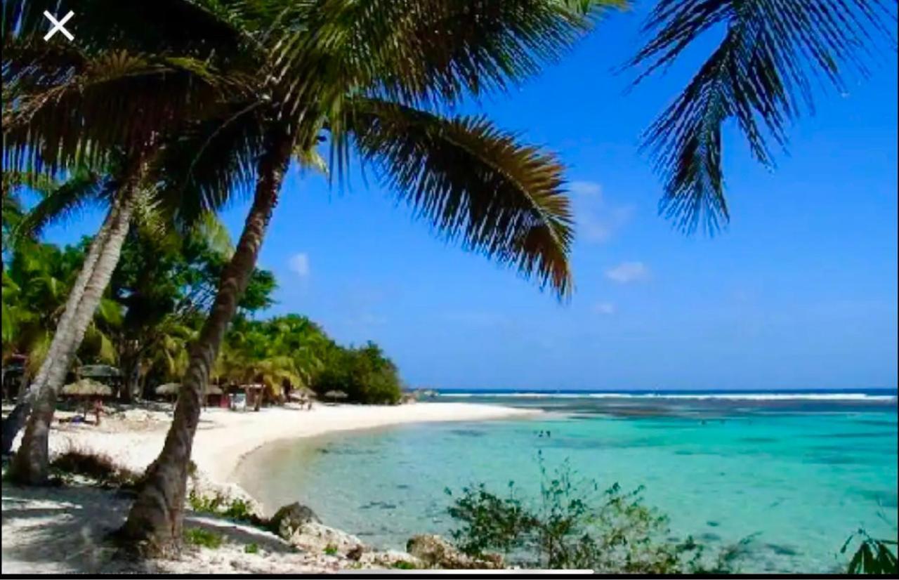Le 35 Anse Des Rochers Saint-Francois Экстерьер фото